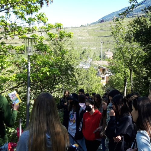 Schüler*innenaustausch