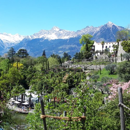 Schüler*innenaustausch