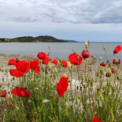 Sport-Sprachreise nach Orbetello 