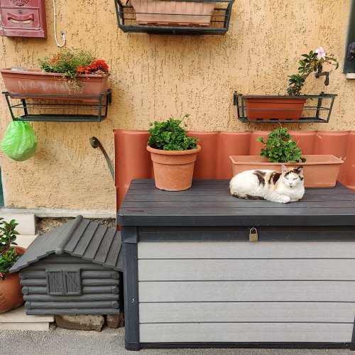 Sport-Sprachreise nach Orbetello 