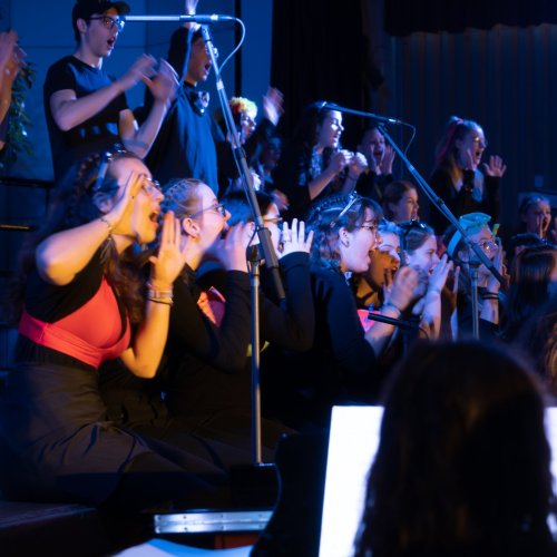 Musikprojekt "Walt Disney"