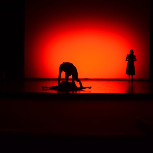 Ein Sommernachtstraum