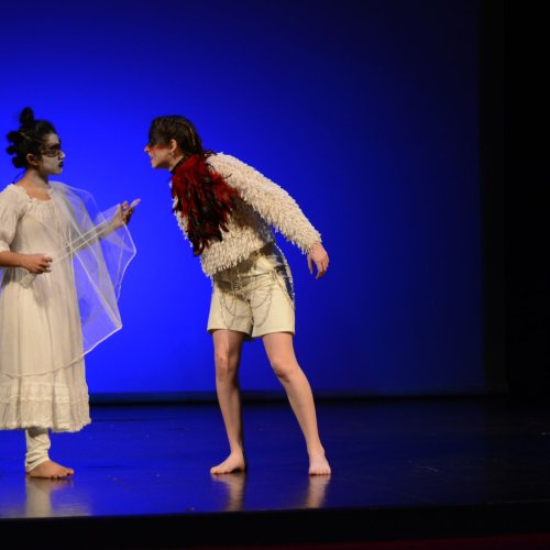 Ein Sommernachtstraum