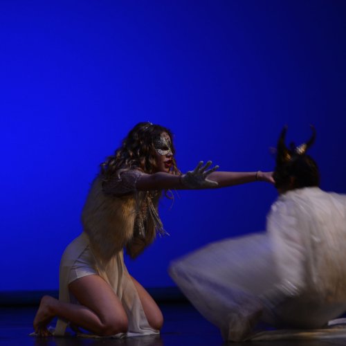 Ein Sommernachtstraum