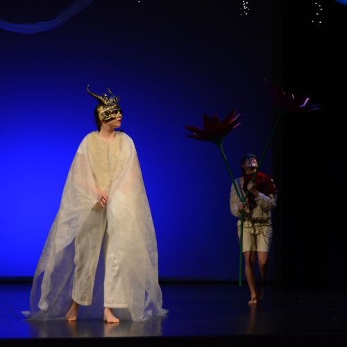 Ein Sommernachtstraum