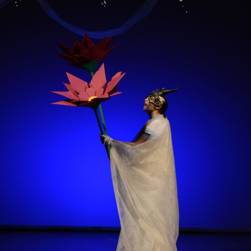 Ein Sommernachtstraum