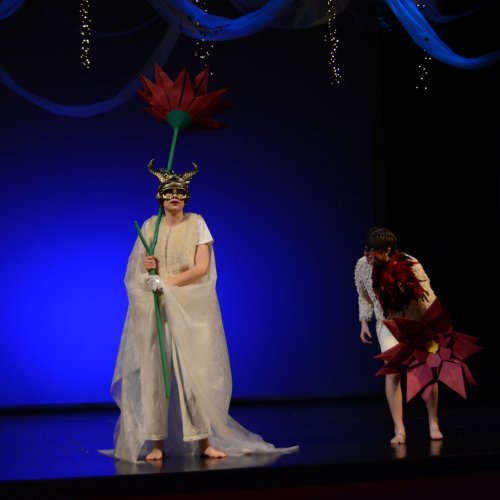 Ein Sommernachtstraum