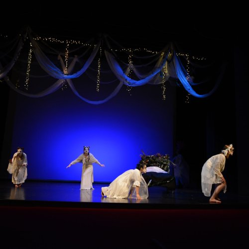 Ein Sommernachtstraum