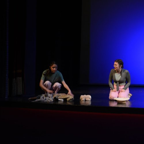 Ein Sommernachtstraum