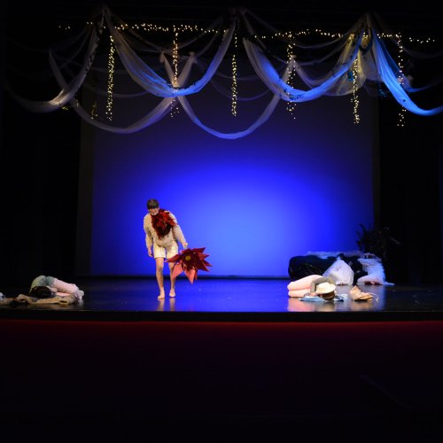 Ein Sommernachtstraum