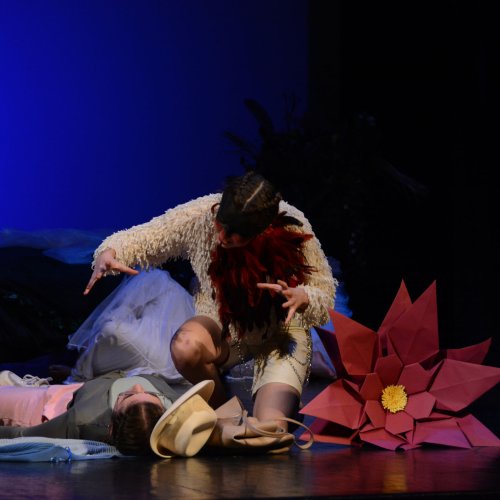 Ein Sommernachtstraum