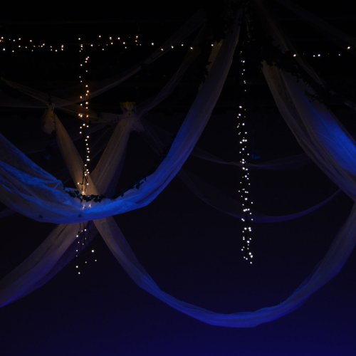 Ein Sommernachtstraum