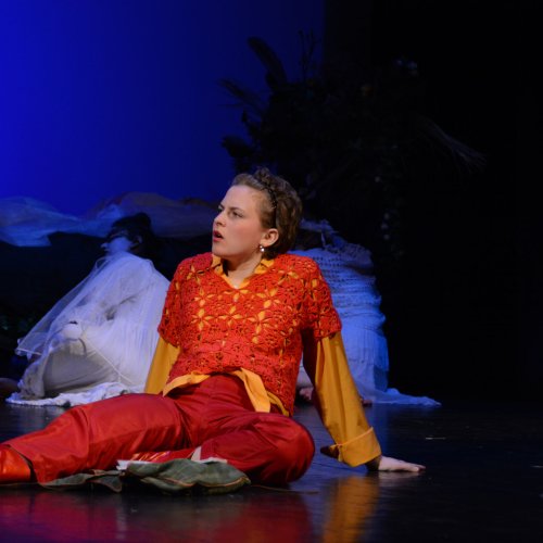 Ein Sommernachtstraum