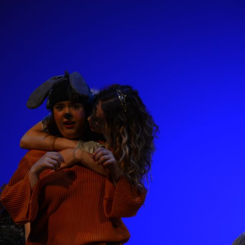 Ein Sommernachtstraum