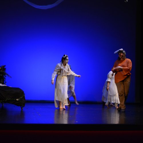 Ein Sommernachtstraum