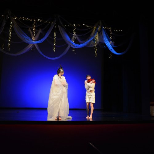 Ein Sommernachtstraum