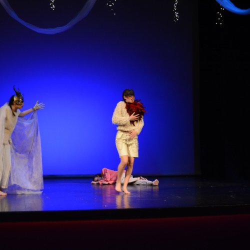 Ein Sommernachtstraum