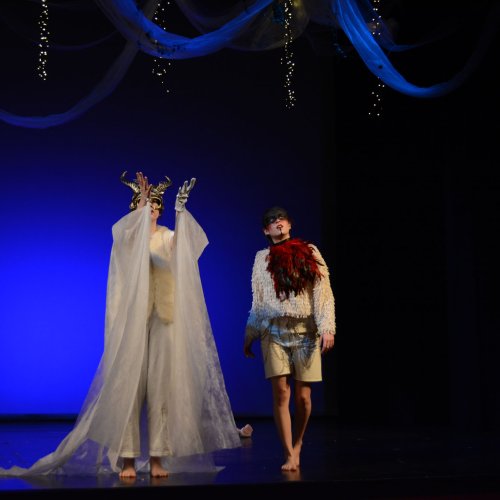 Ein Sommernachtstraum