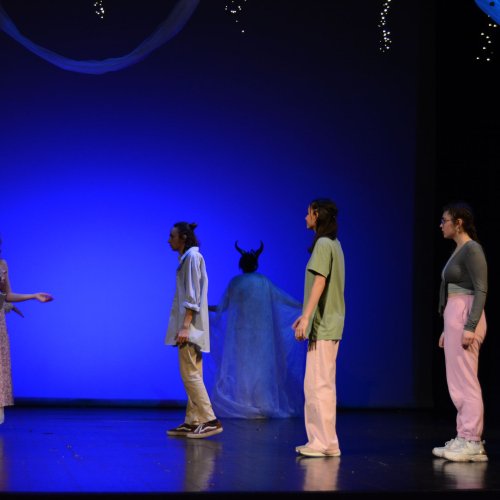 Ein Sommernachtstraum