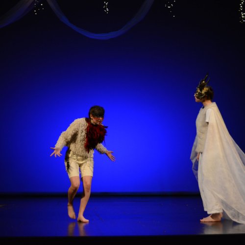 Ein Sommernachtstraum