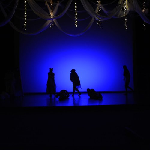 Ein Sommernachtstraum