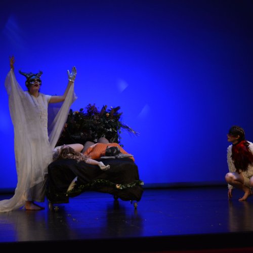 Ein Sommernachtstraum