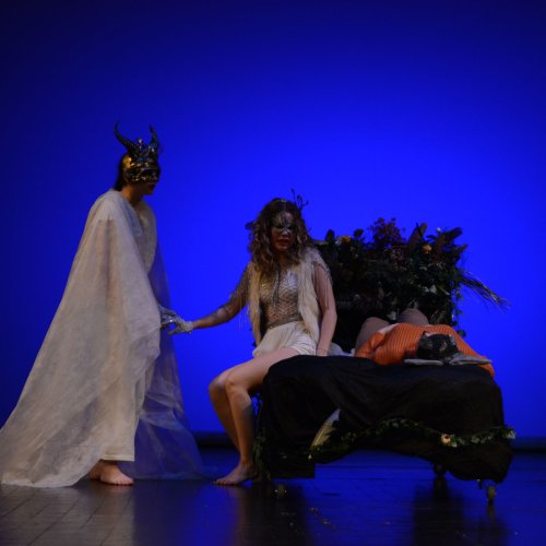 Ein Sommernachtstraum