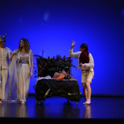 Ein Sommernachtstraum