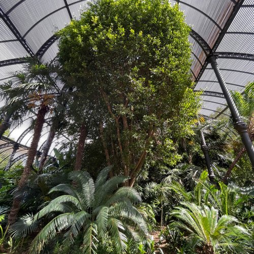 Barcelona, auf den Spuren Gaudìs