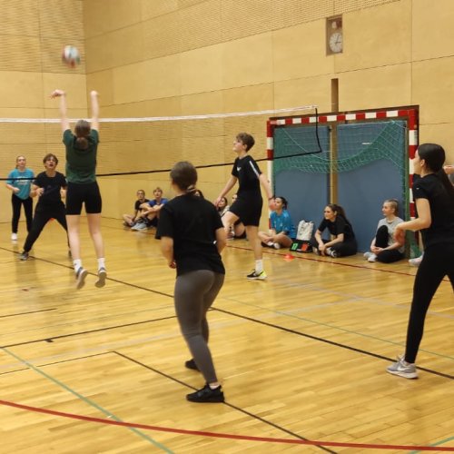 Sprachengymnasium: Volleyballturnier