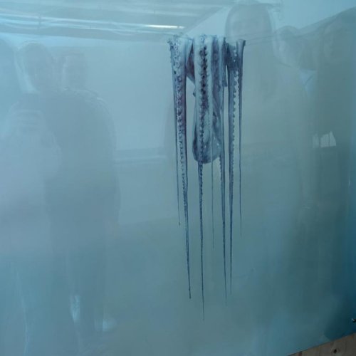 Kunsthaus Martinelli