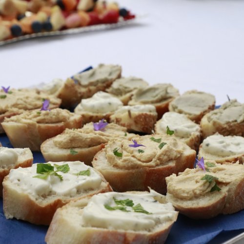 Einfach vegantastisch!