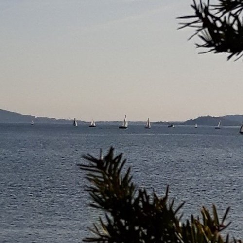 Schüler*innenaustausch