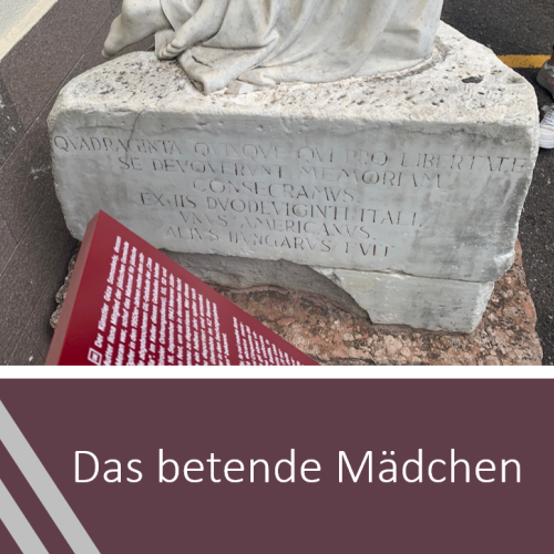 Linguistic landscaping