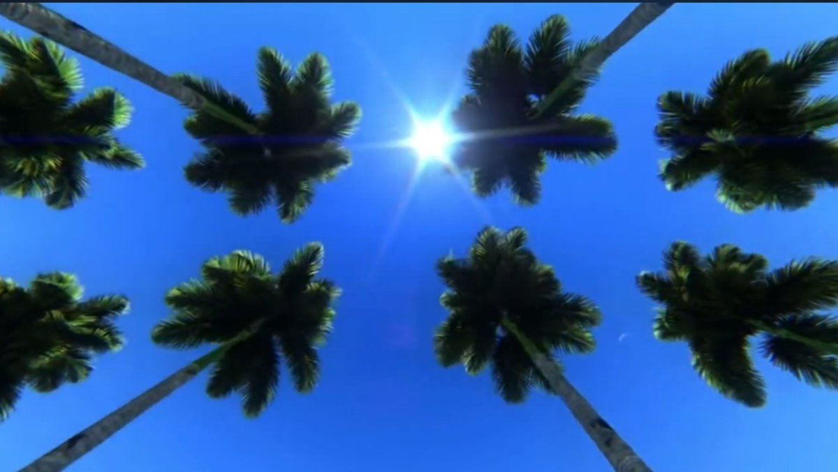 Progetto teatrale: Il barone rampante